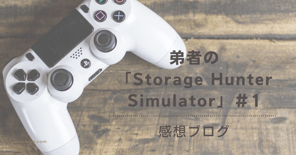 『ストレージハンター』動画感想1