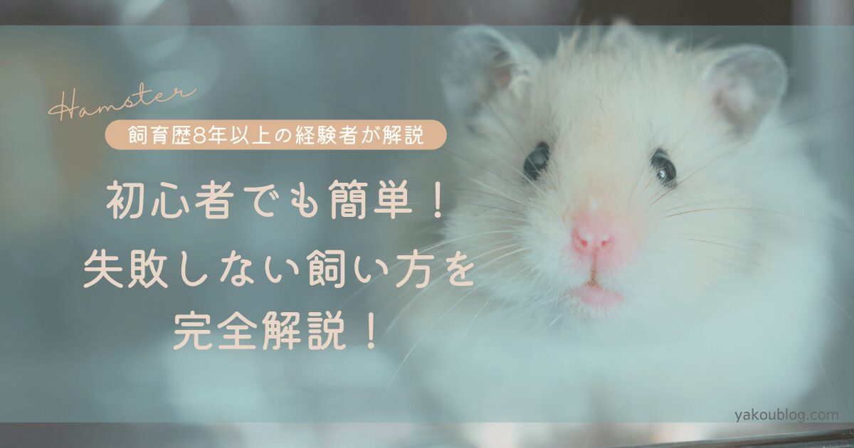 【飼育歴8年以上の経験者が解説】初心者でも簡単！失敗しない飼い方を完全解説！