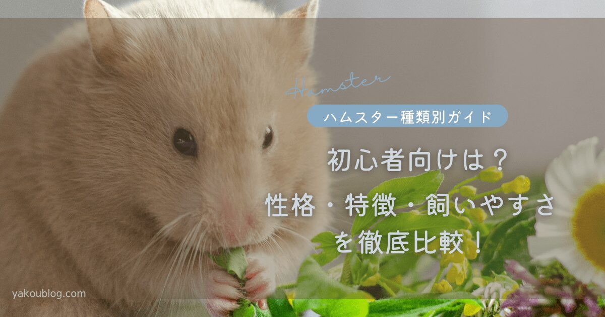 【ハムスター種類別ガイド】性格・特徴・飼いやすさを徹底比較！初心者向けは？