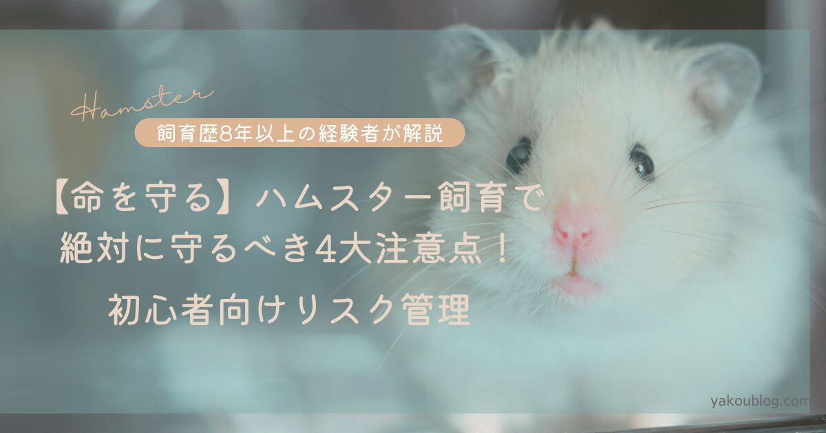 【命を守る】ハムスター飼育で絶対に守るべき4大注意点！初心者向けリスク管理
