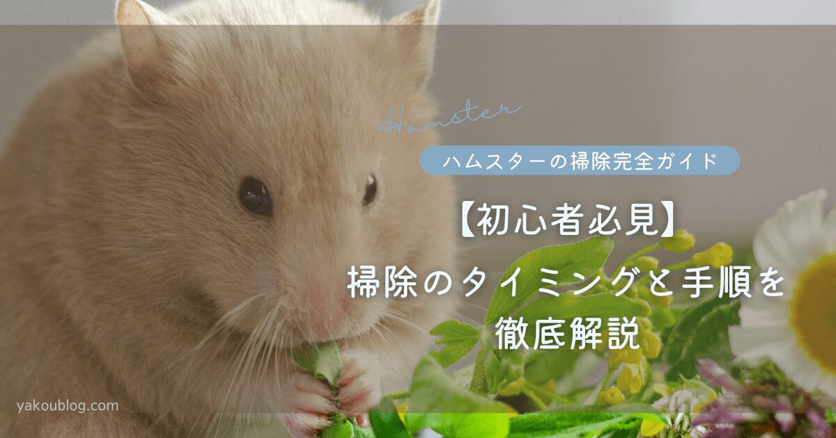 【初心者必見】ハムスターの掃除方法完全ガイド！掃除のタイミングと手順を徹底解説